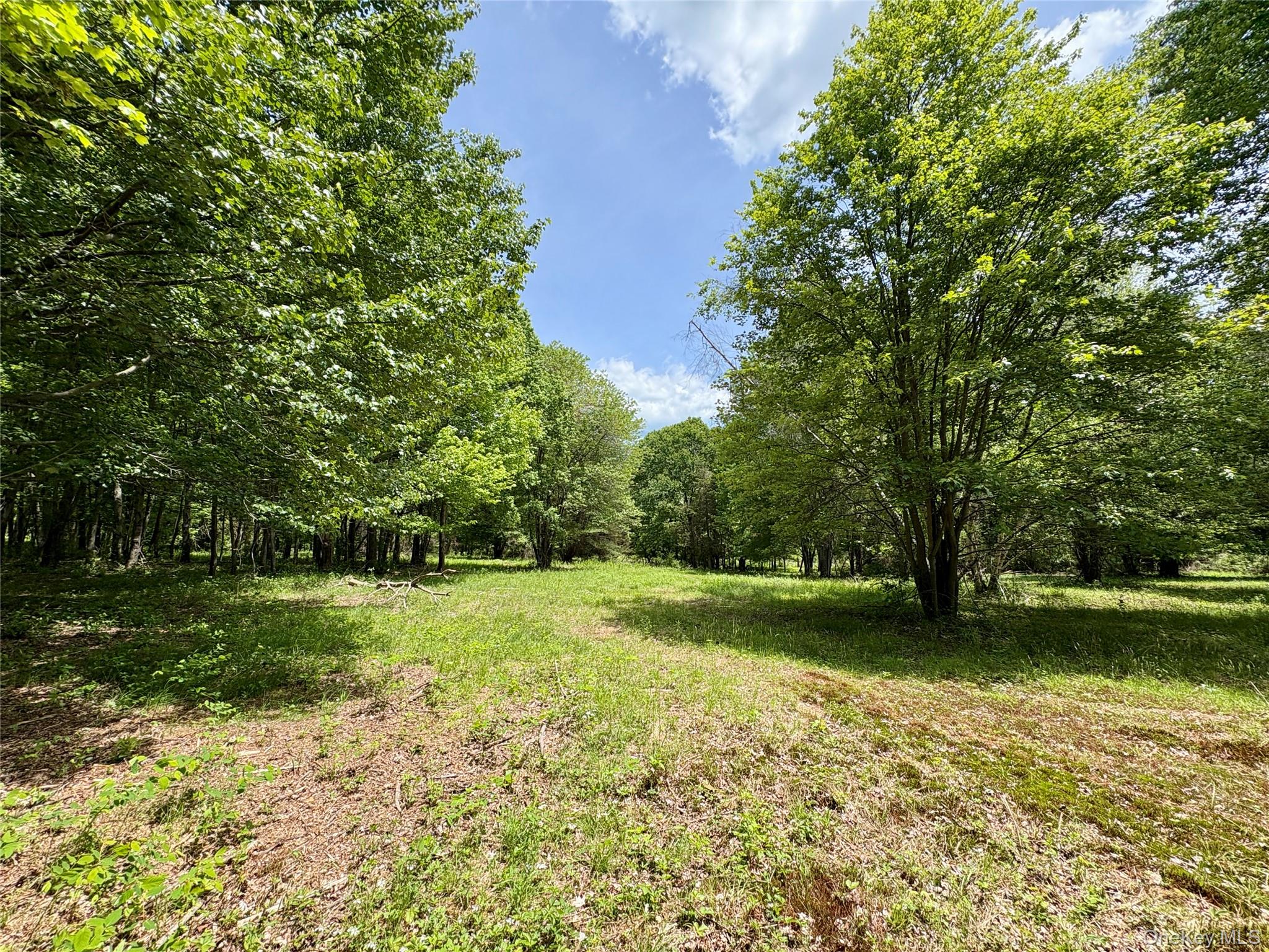 00 Route 7, Copake, NY 12516