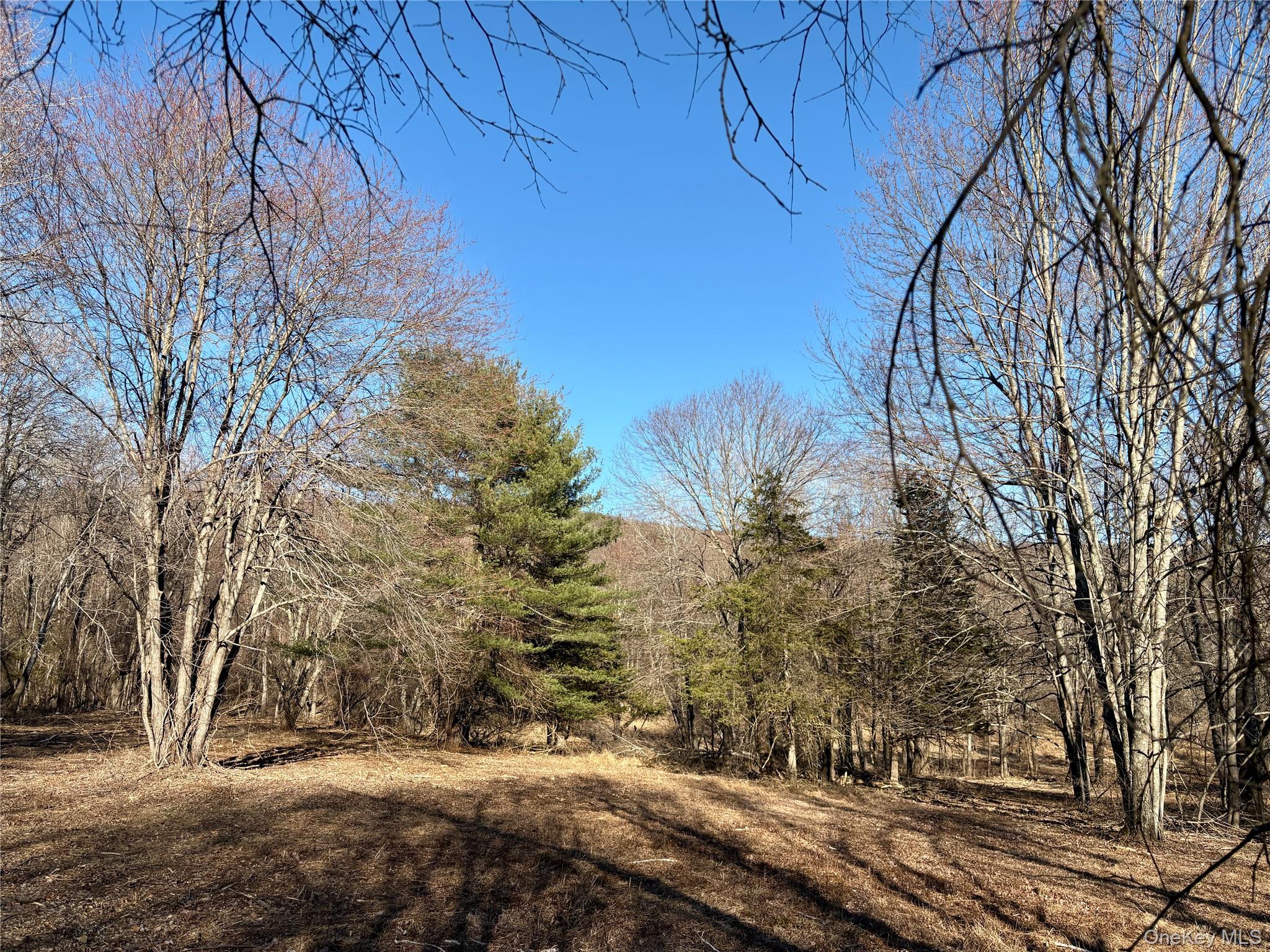 00 Route 7, Copake, NY 12516