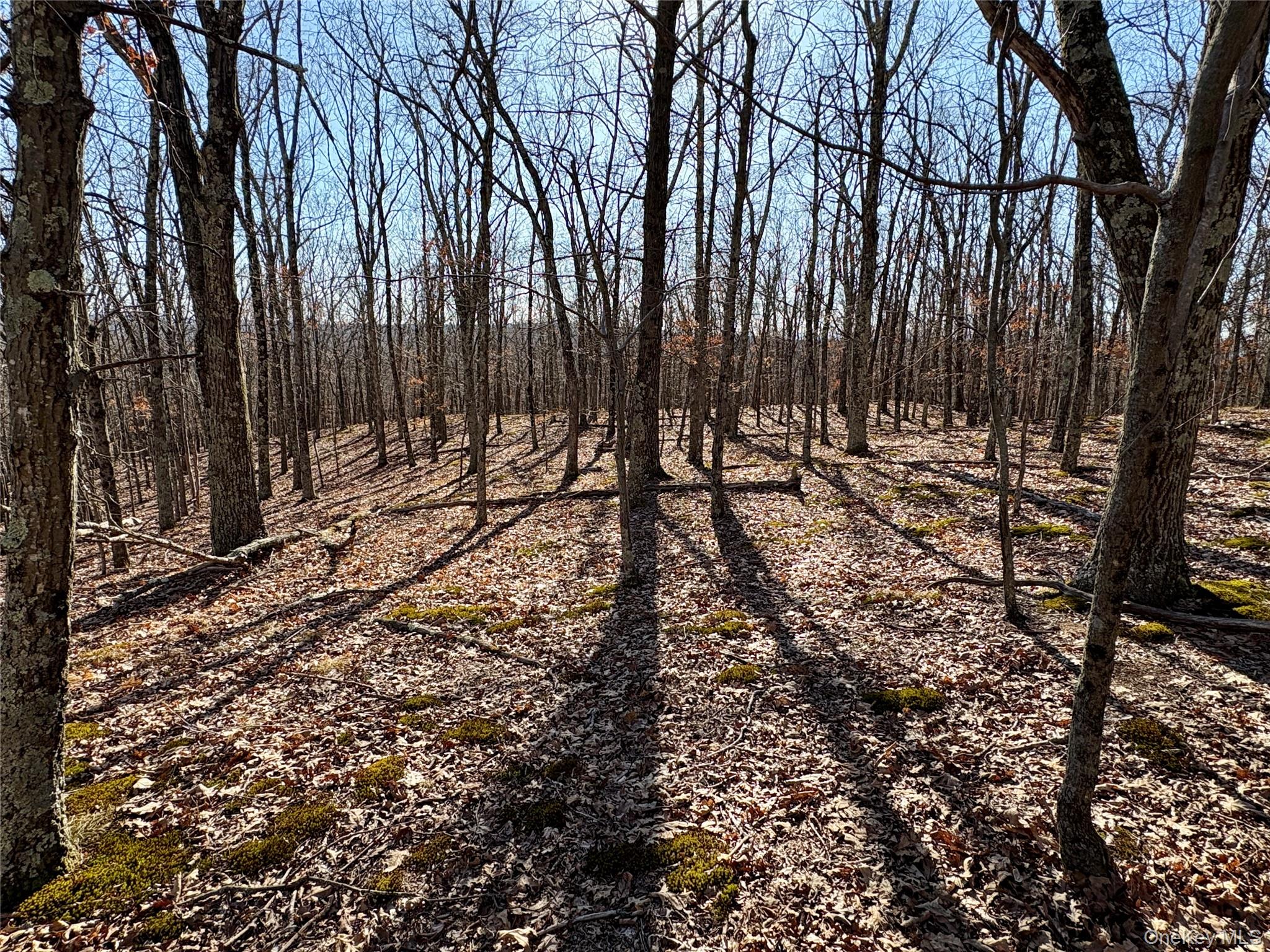 00 Route 7, Copake, NY 12516