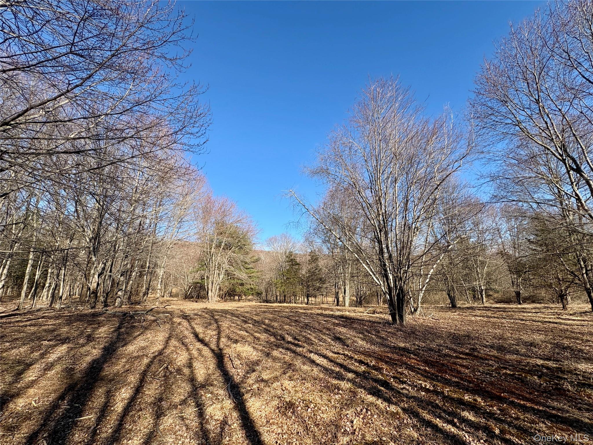 00 Route 7, Copake, NY 12516