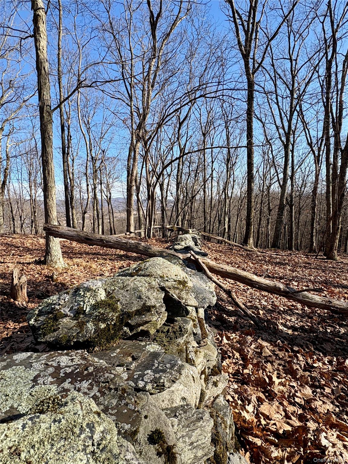 00 Route 7, Copake, NY 12516