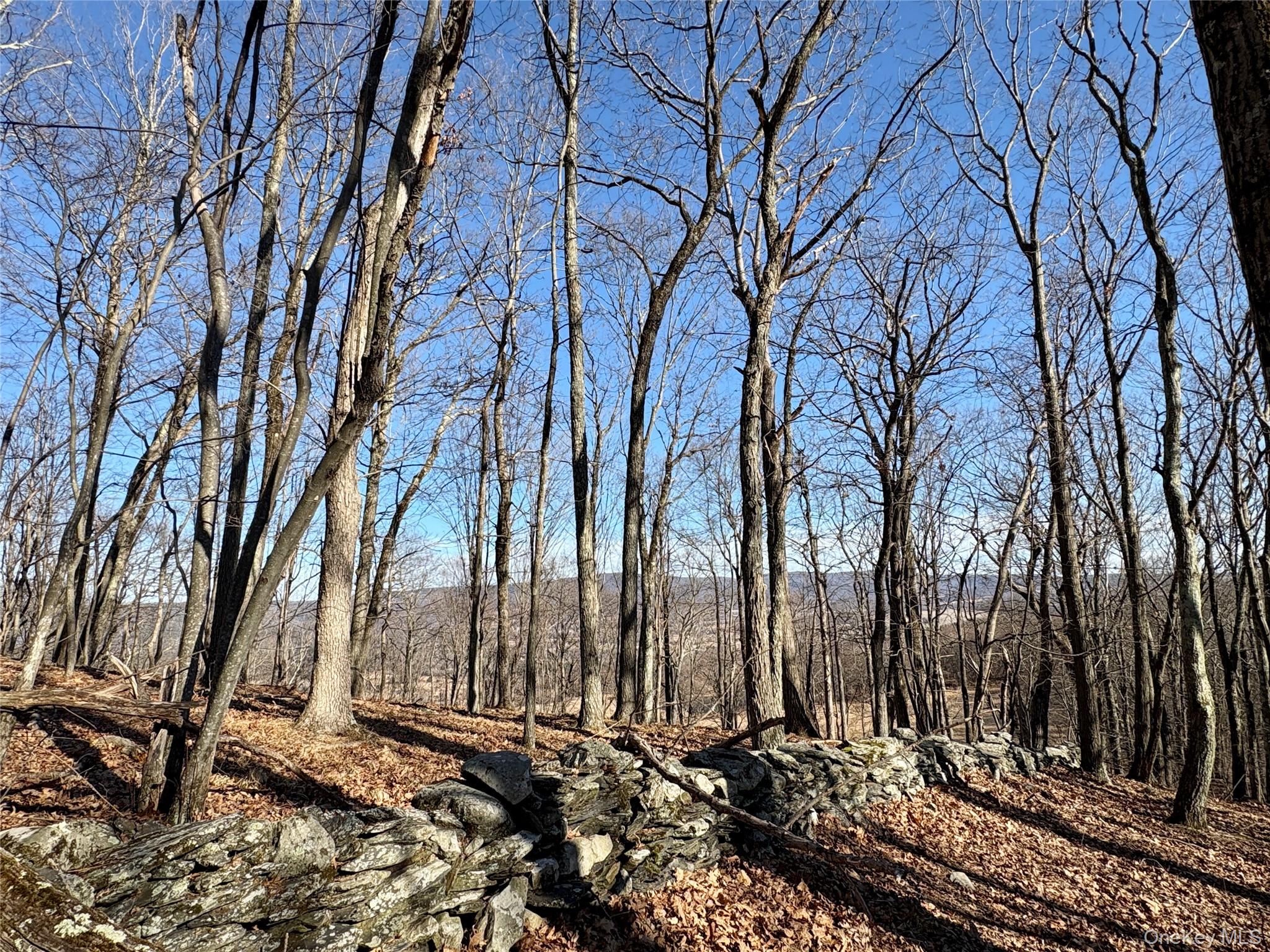 00 Route 7, Copake, NY 12516