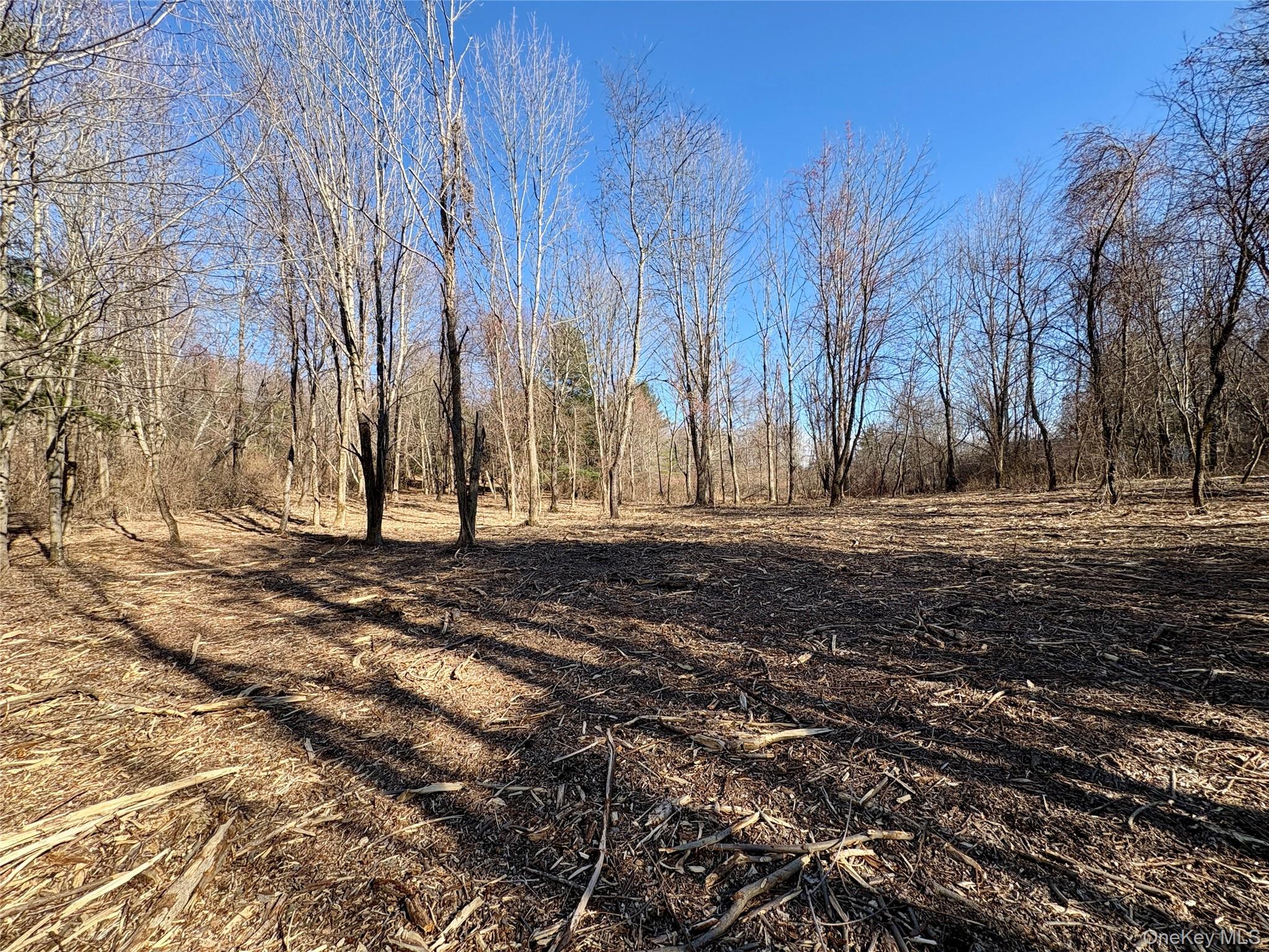 00 Route 7, Copake, NY 12516