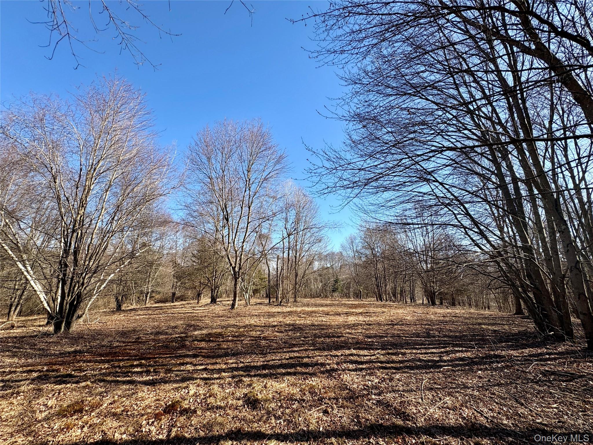 00 Route 7, Copake, NY 12516