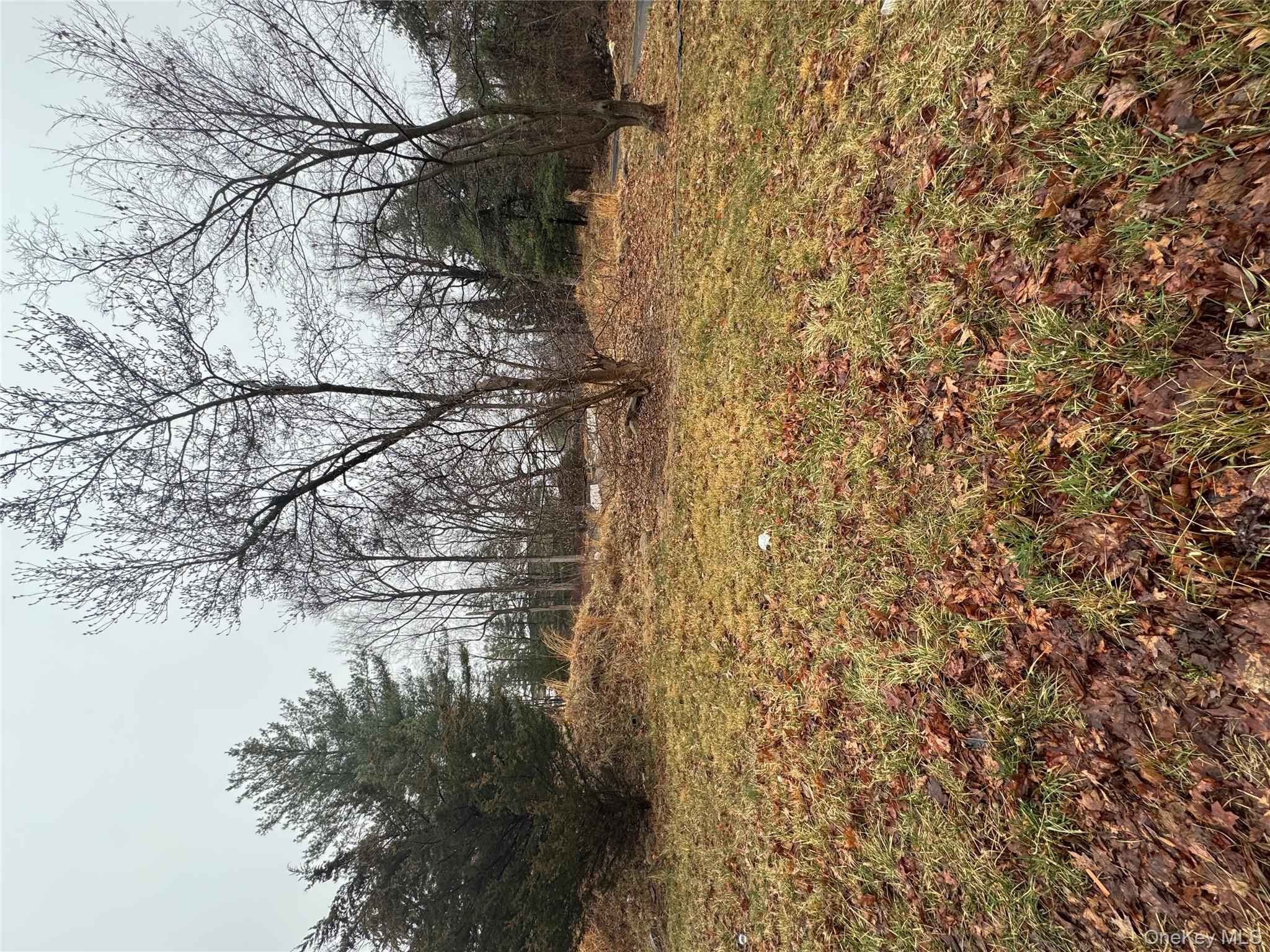 28 Williams Road, Chestnut Ridge, NY 10977