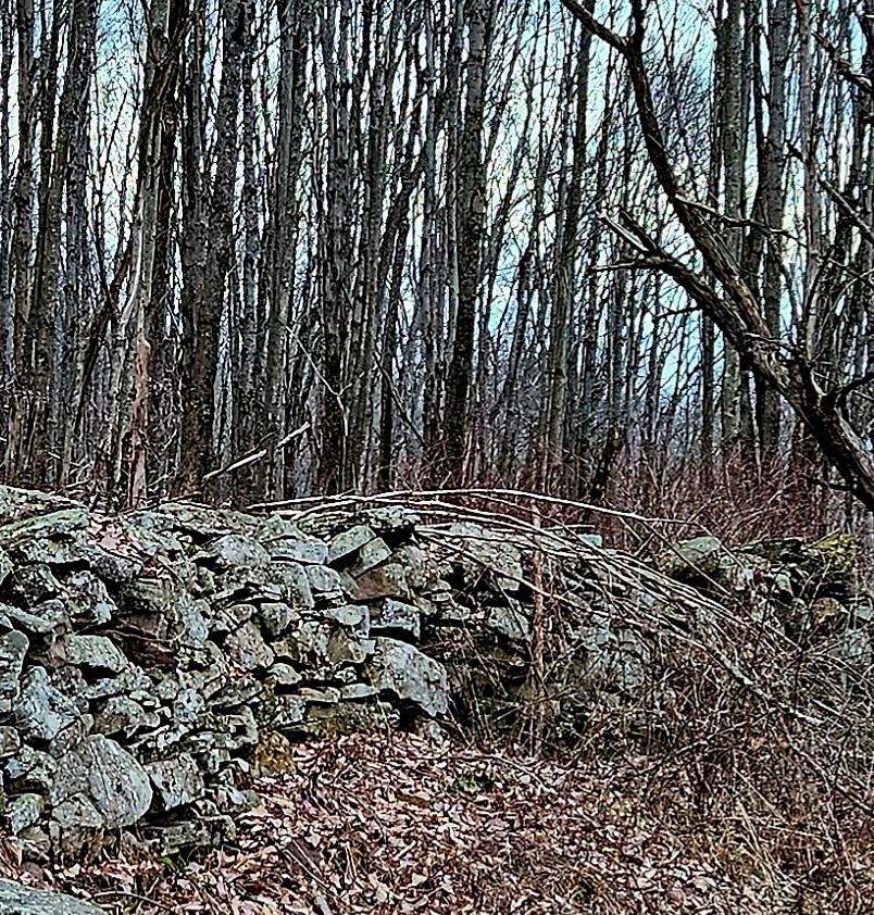 295 Pleasant Valley Road, North Branch, NY 12766