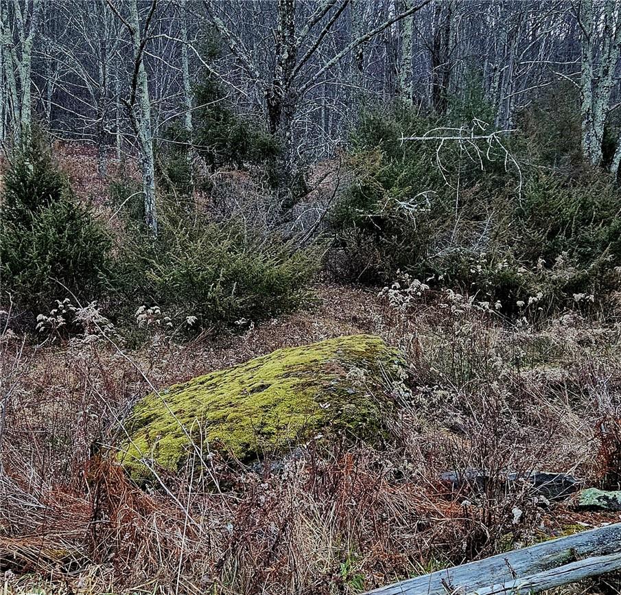 295 Pleasant Valley Road, North Branch, NY 12766