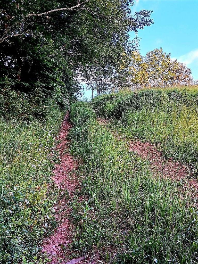 295 Pleasant Valley Road, North Branch, NY 12766