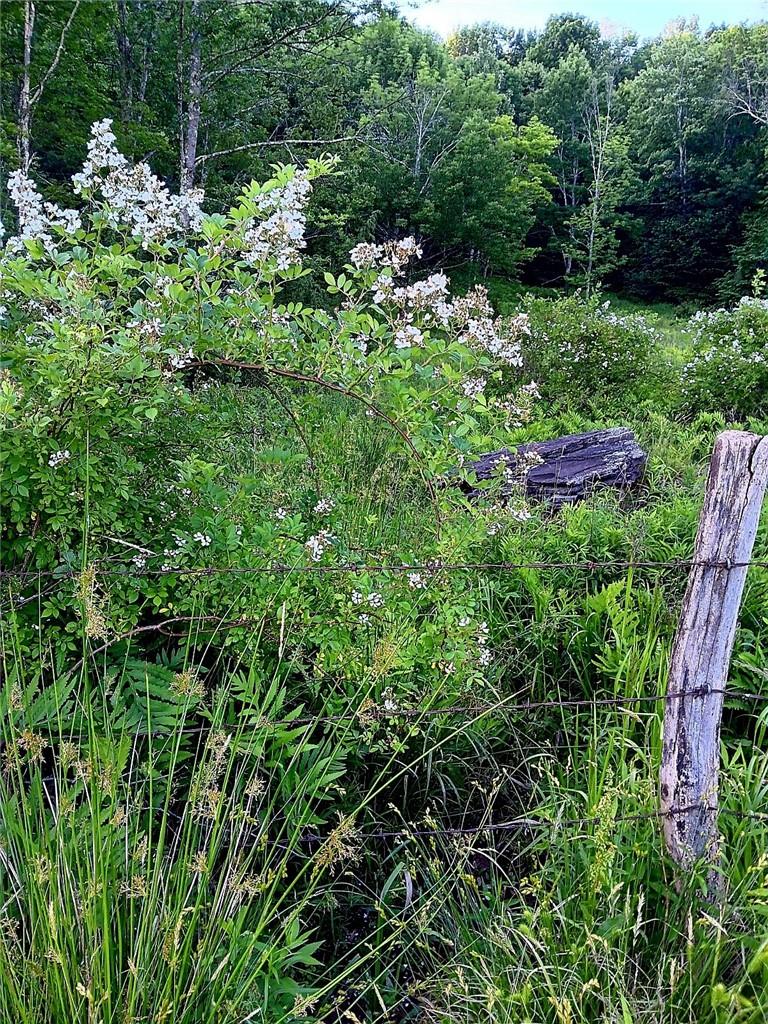 295 Pleasant Valley Road, North Branch, NY 12766