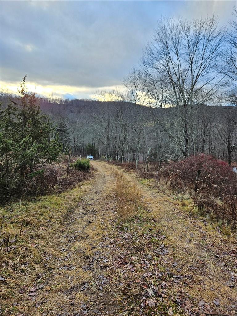 295 Pleasant Valley Road, North Branch, NY 12766