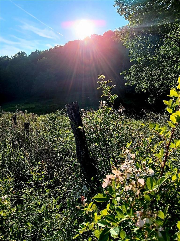 295 Pleasant Valley Road, North Branch, NY 12766