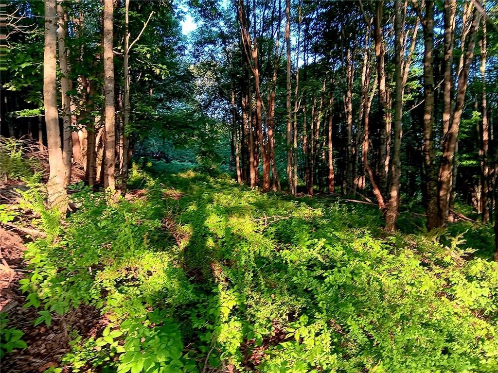 295 Pleasant Valley Road, North Branch, NY 12766