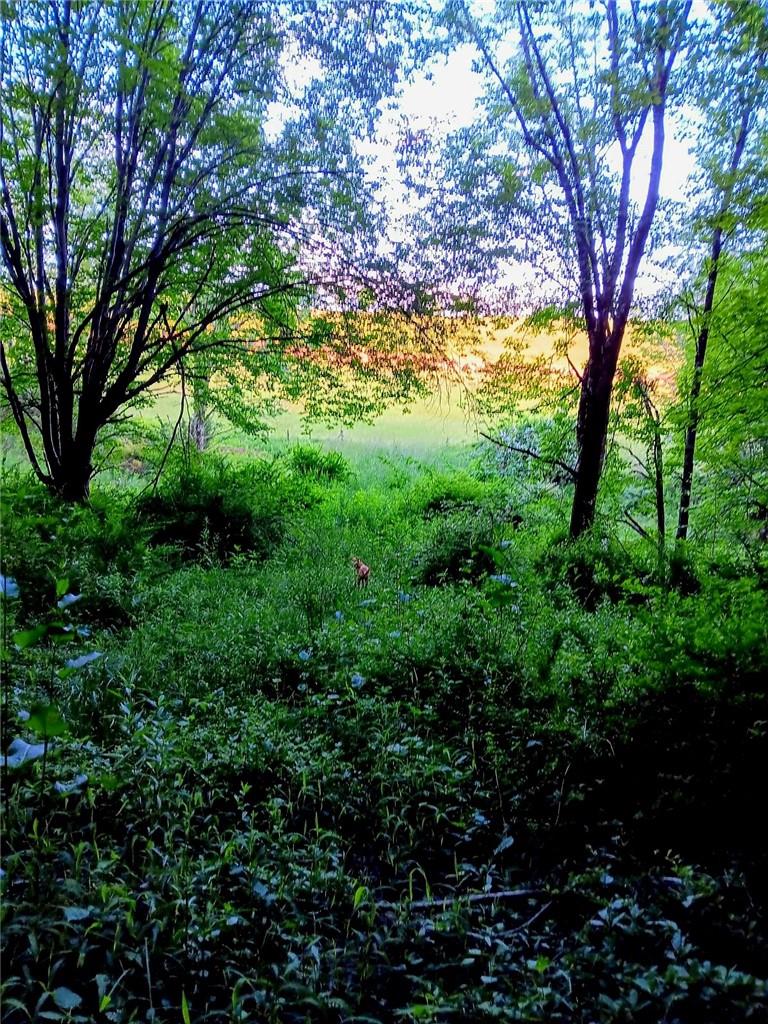 295 Pleasant Valley Road, North Branch, NY 12766