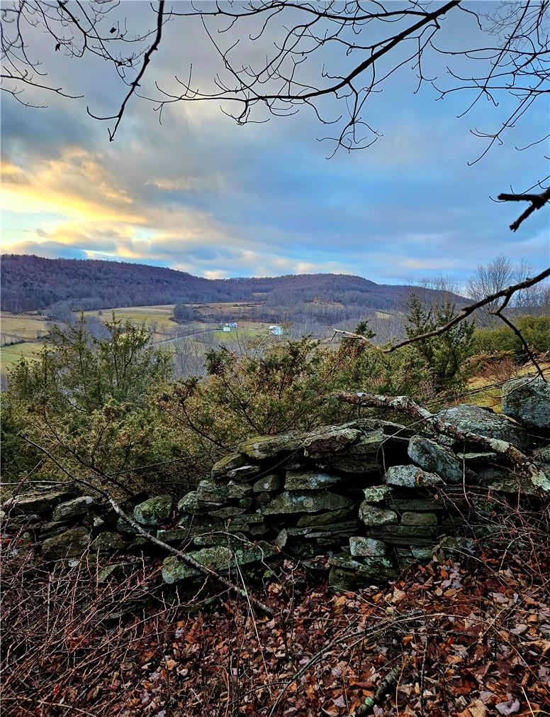 295 Pleasant Valley Road, North Branch, NY 12766