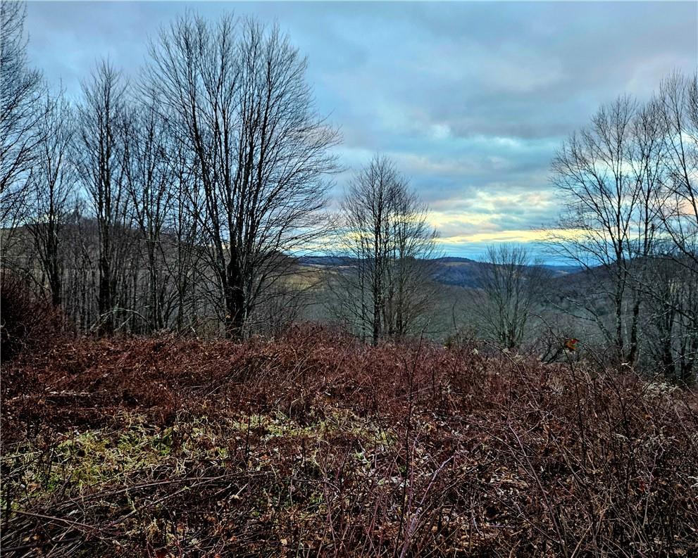 295 Pleasant Valley Road, North Branch, NY 12766