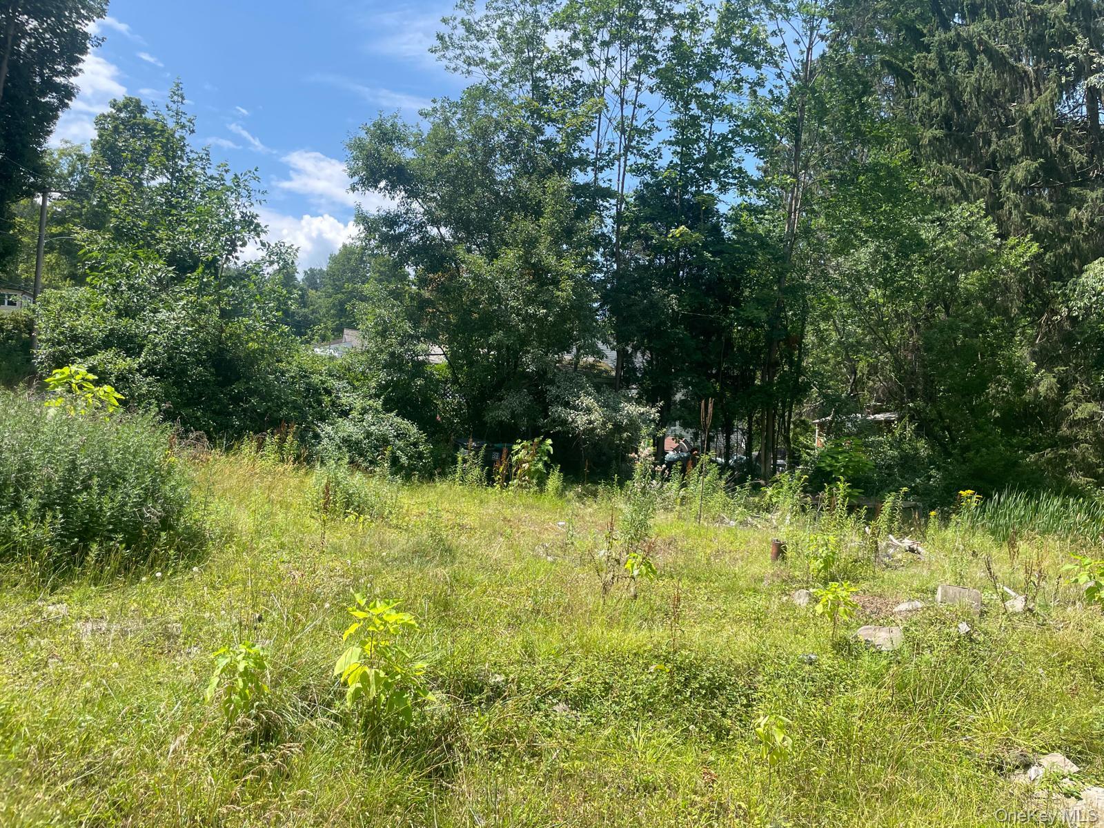 33 Dudley Street Harveys Lake, Pennsylvania Street, Other, PA 18618