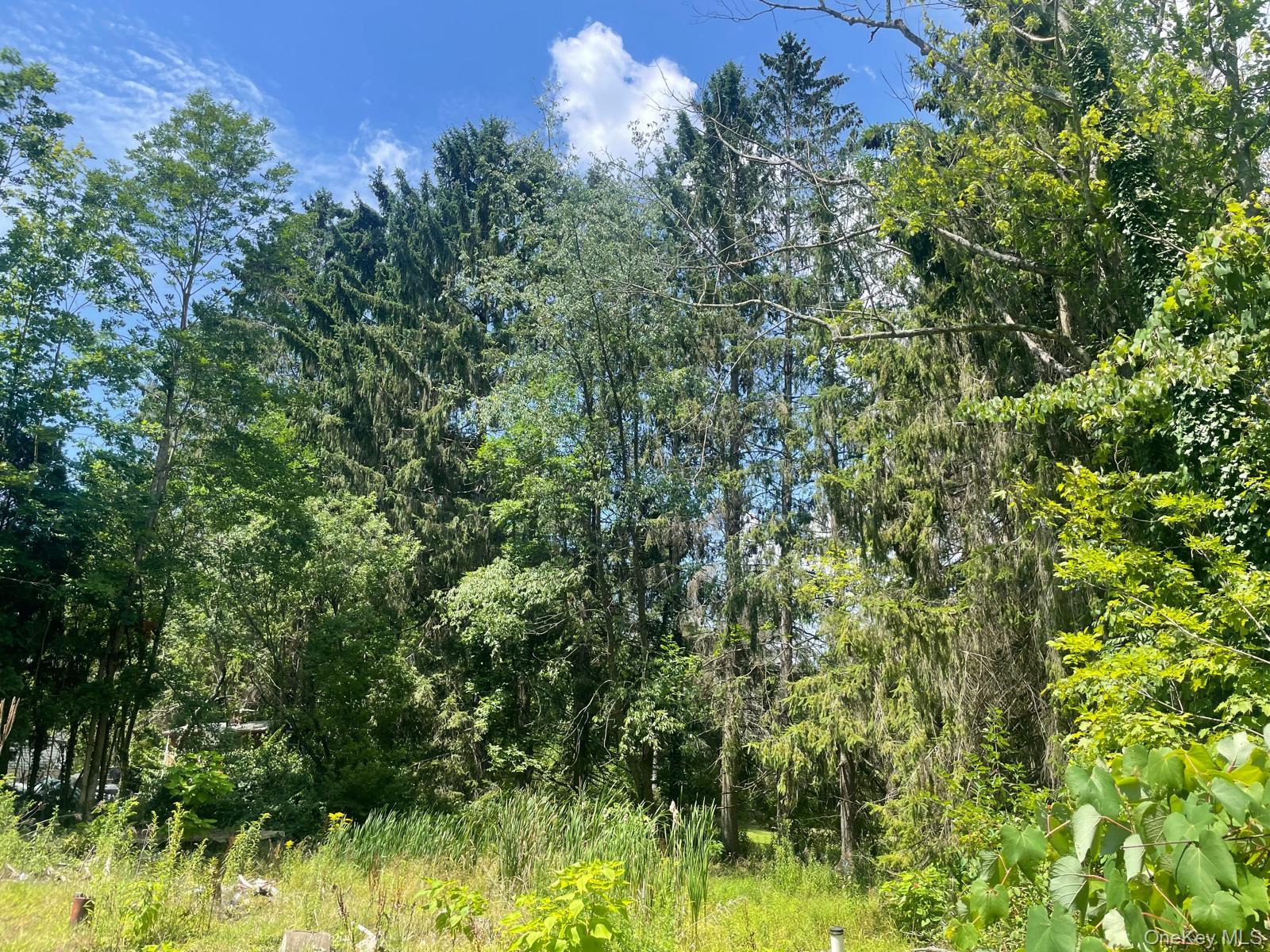 33 Dudley Street Harveys Lake, Pennsylvania Street, Other, PA 18618