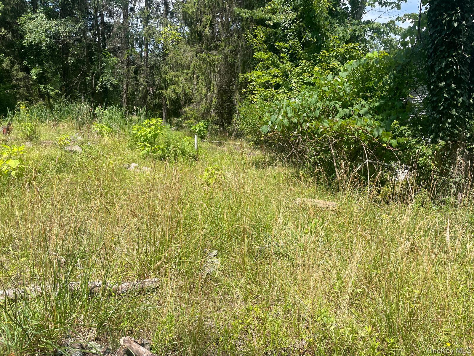 33 Dudley Street Harveys Lake, Pennsylvania Street, Other, PA 18618