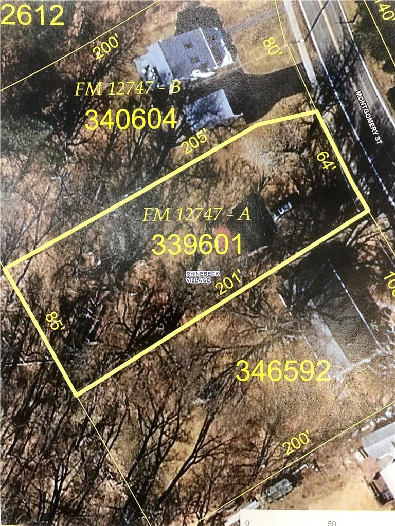 116 MONTGOMERY Street, Rhinebeck, NY 12572