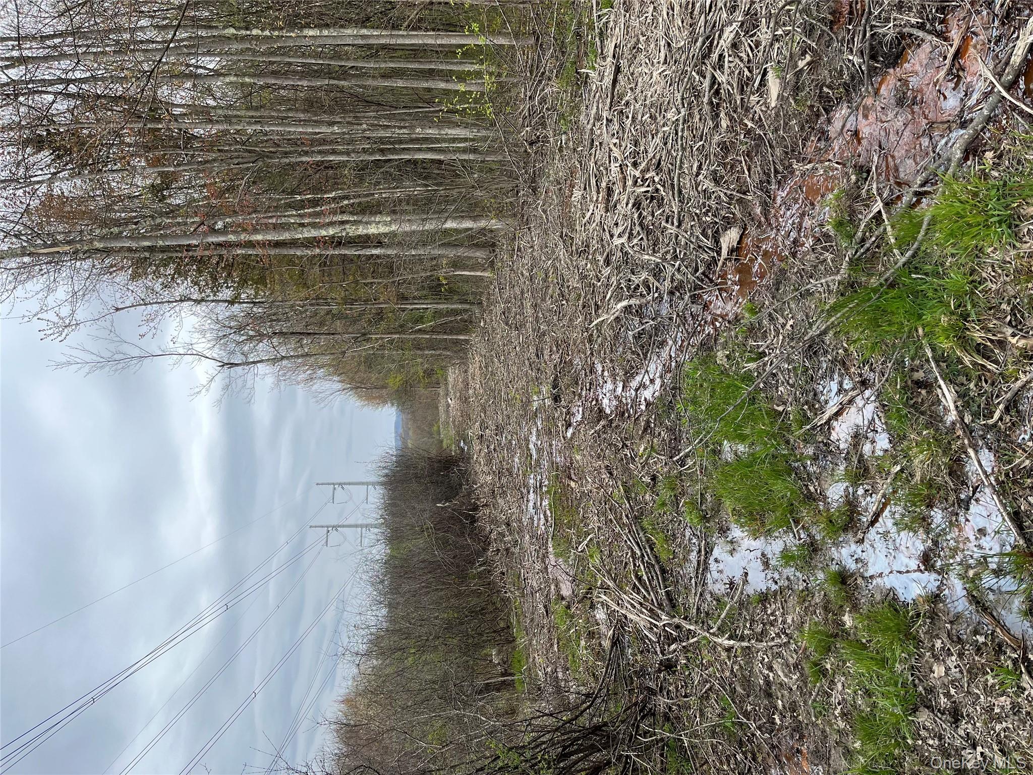 Rebecca Drive, Middletown, NY