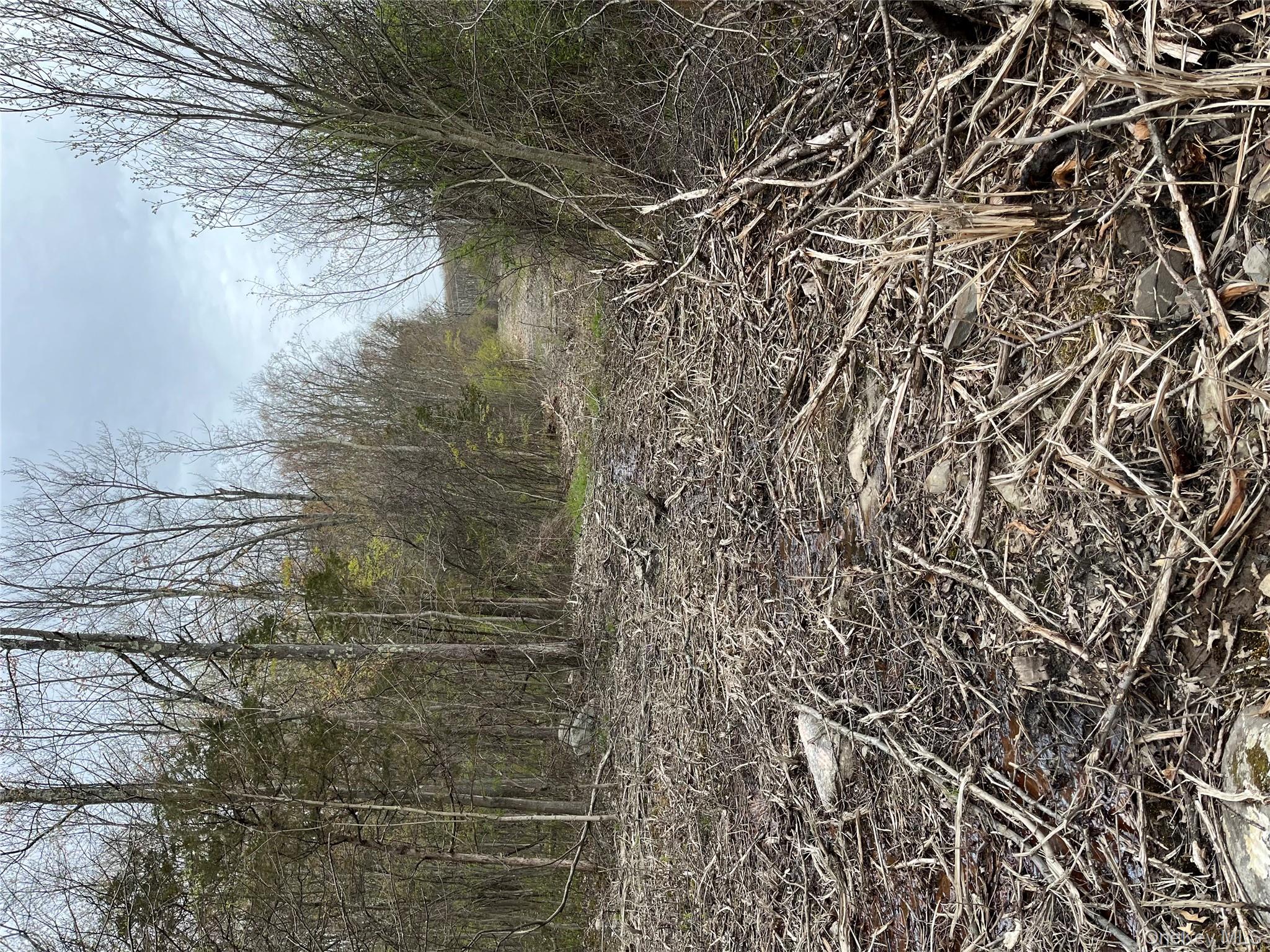 Rebecca Drive, Middletown, NY