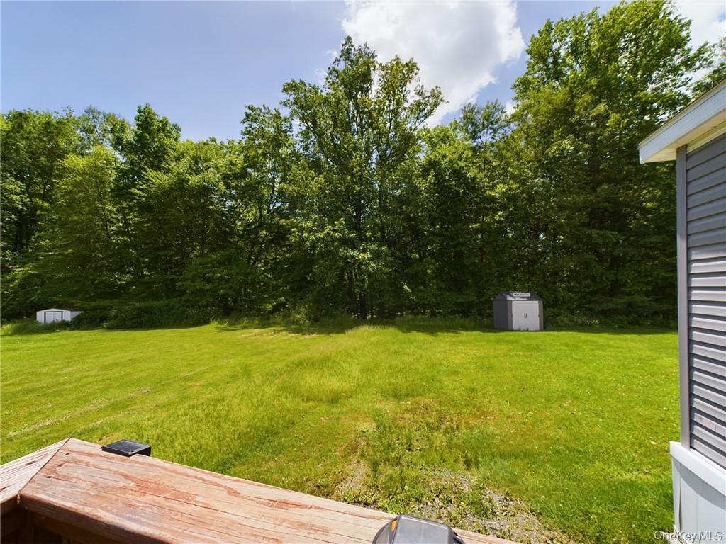 18 Shore Lane, Burlingham, NY 12722