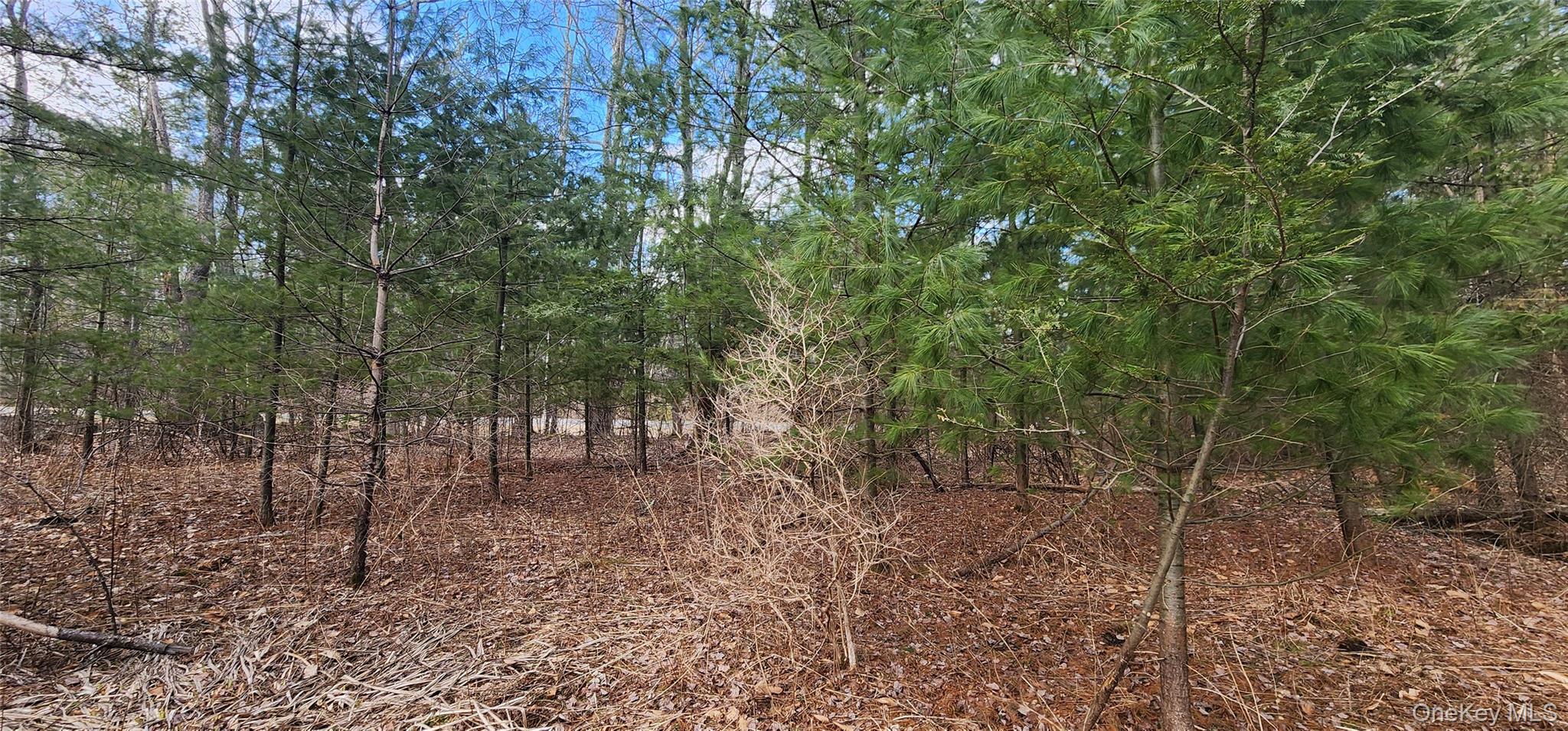 42 Concord Road, Kiamesha Lake, NY 12751