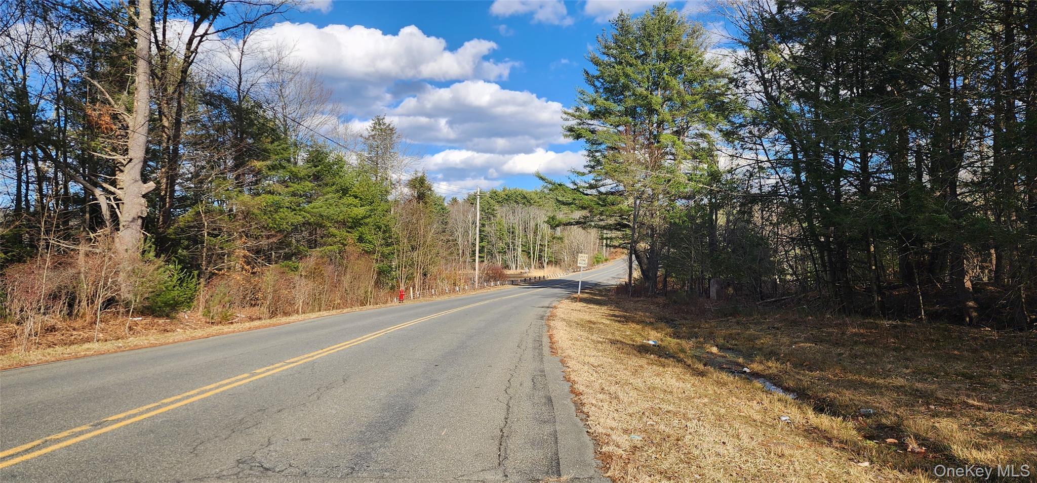 42 Concord Road, Kiamesha Lake, NY 12751