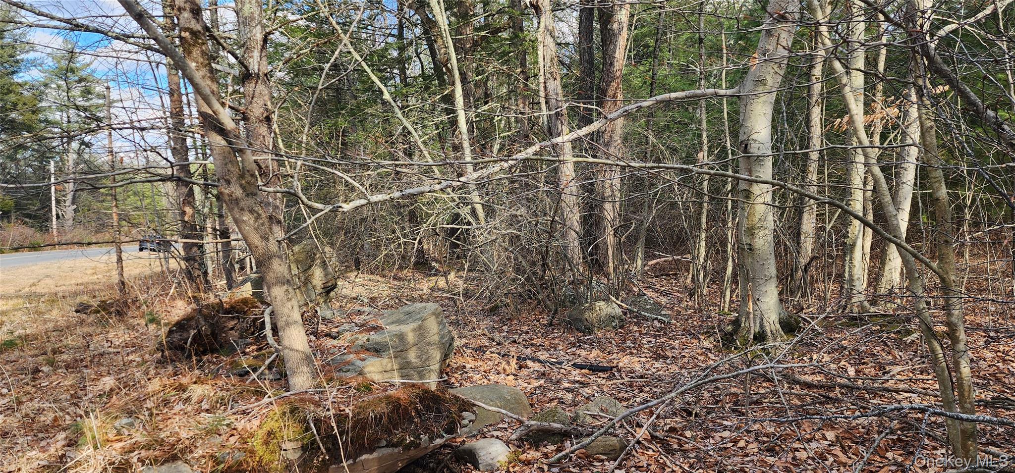 42 Concord Road, Kiamesha Lake, NY 12751