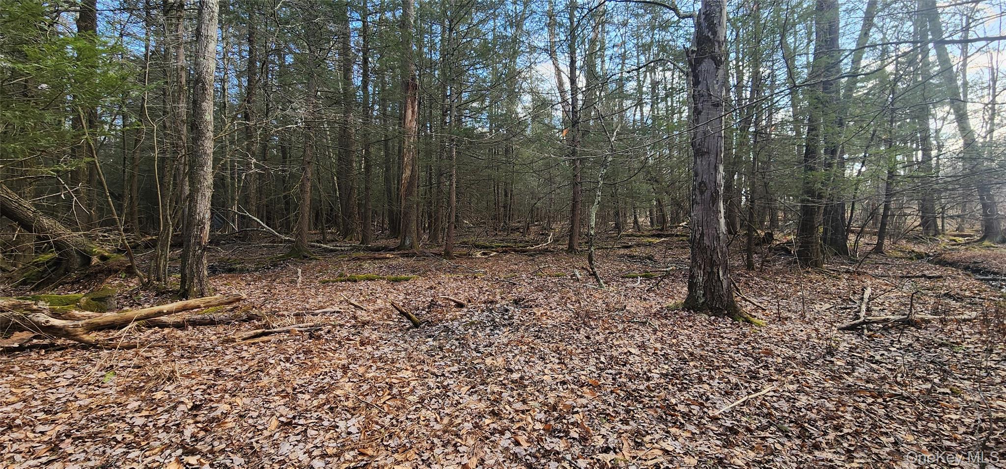 42 Concord Road, Kiamesha Lake, NY 12751