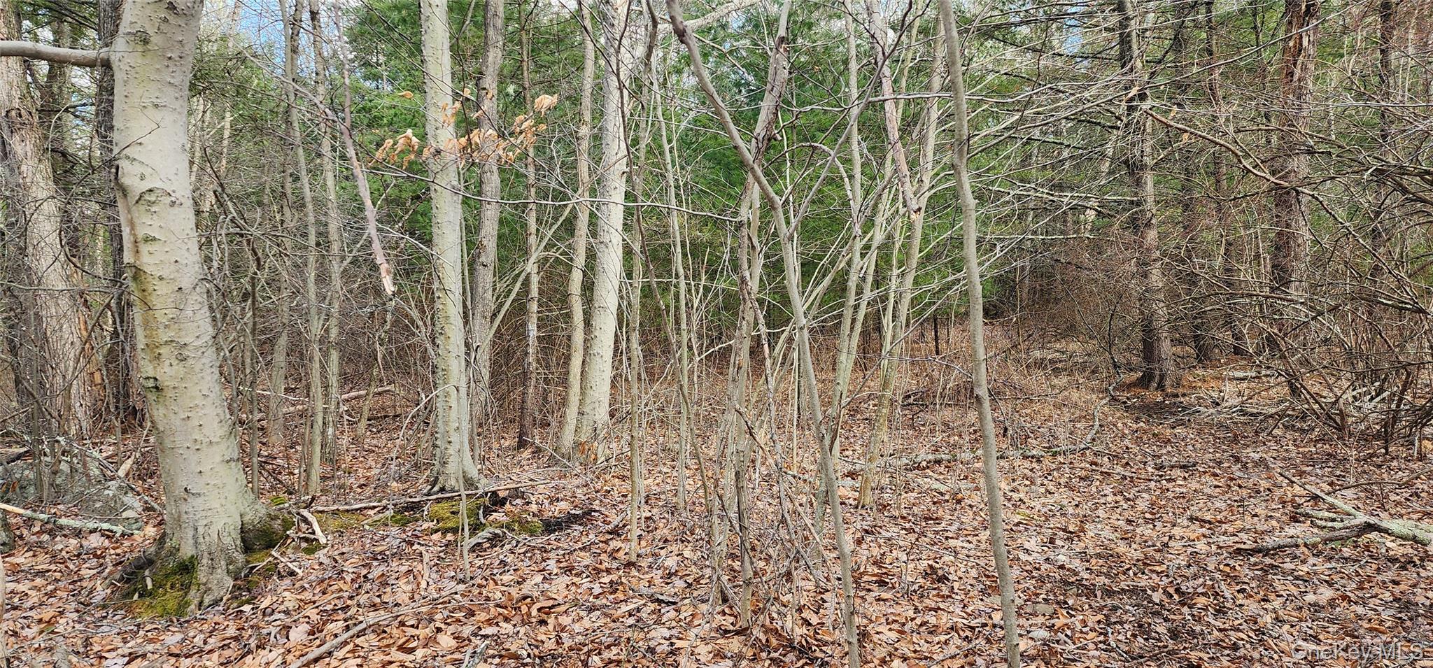 42 Concord Road, Kiamesha Lake, NY 12751