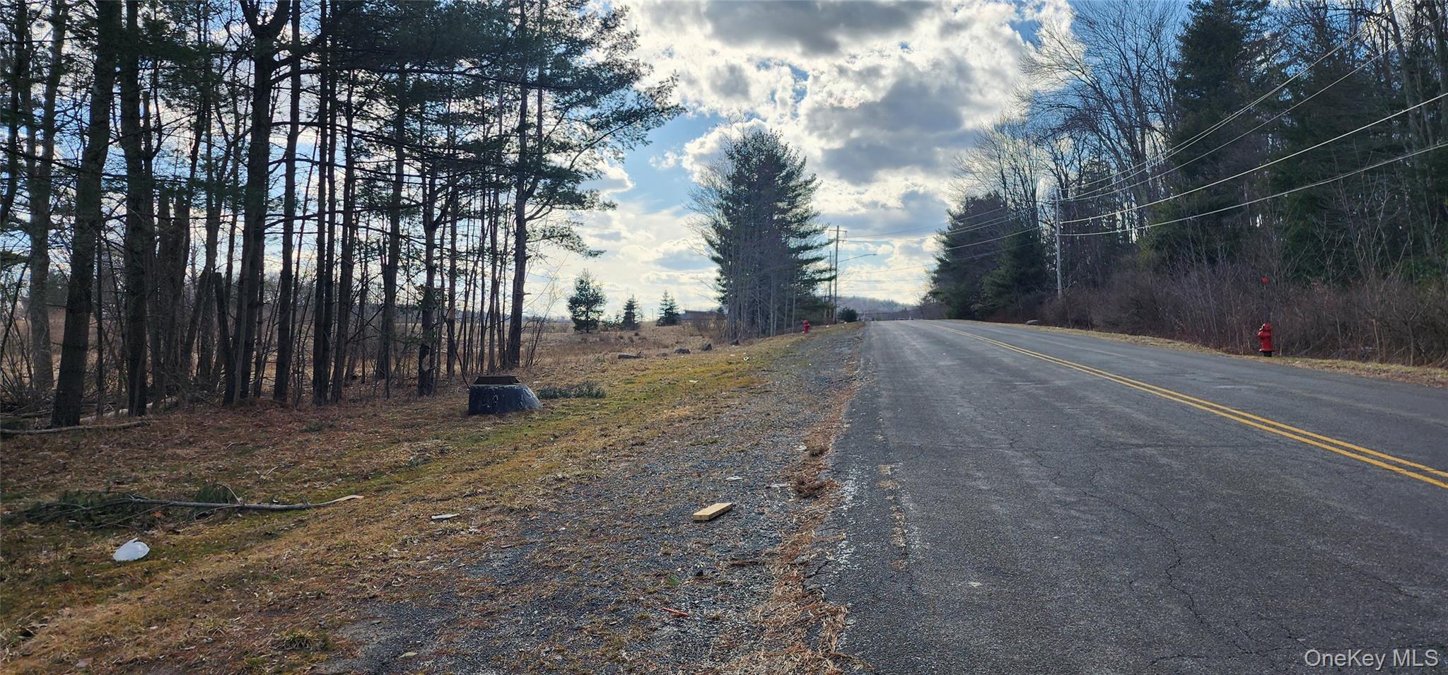 42 Concord Road, Kiamesha Lake, NY 12751