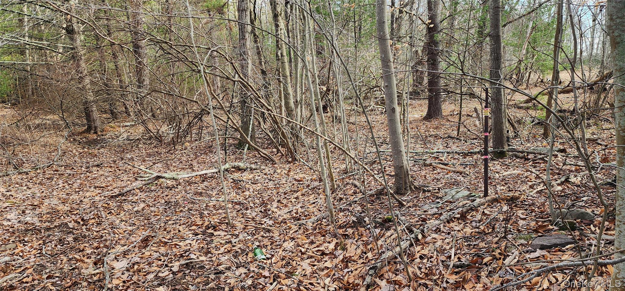 42 Concord Road, Kiamesha Lake, NY 12751