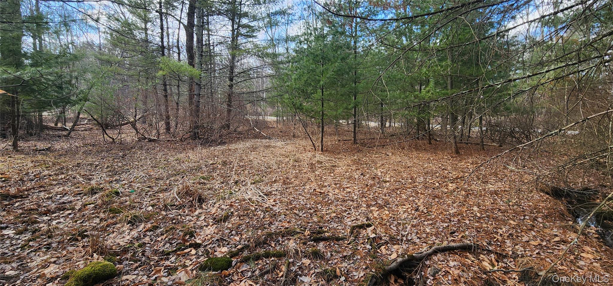 42 Concord Road, Kiamesha Lake, NY 12751