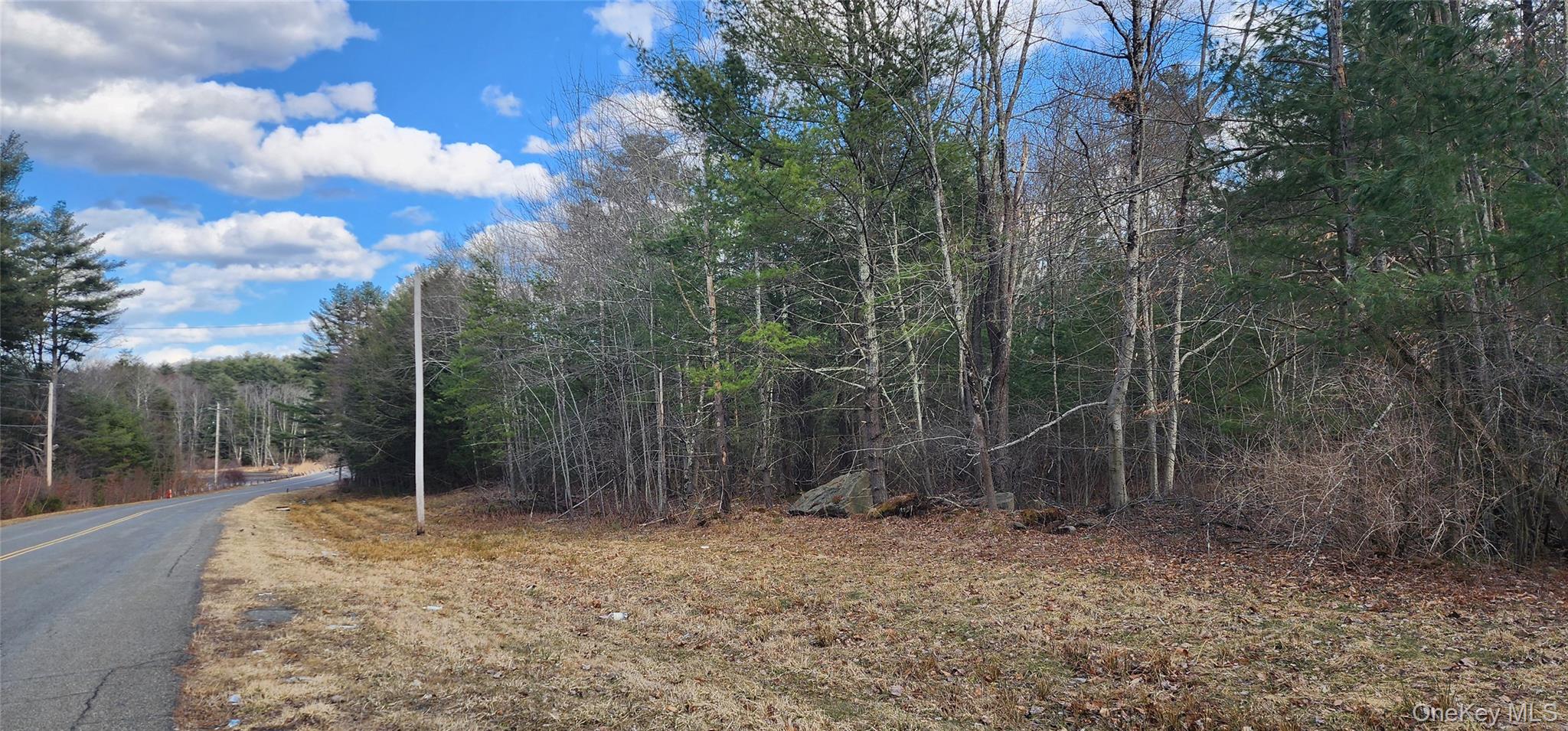 42 Concord Road, Kiamesha Lake, NY 12751