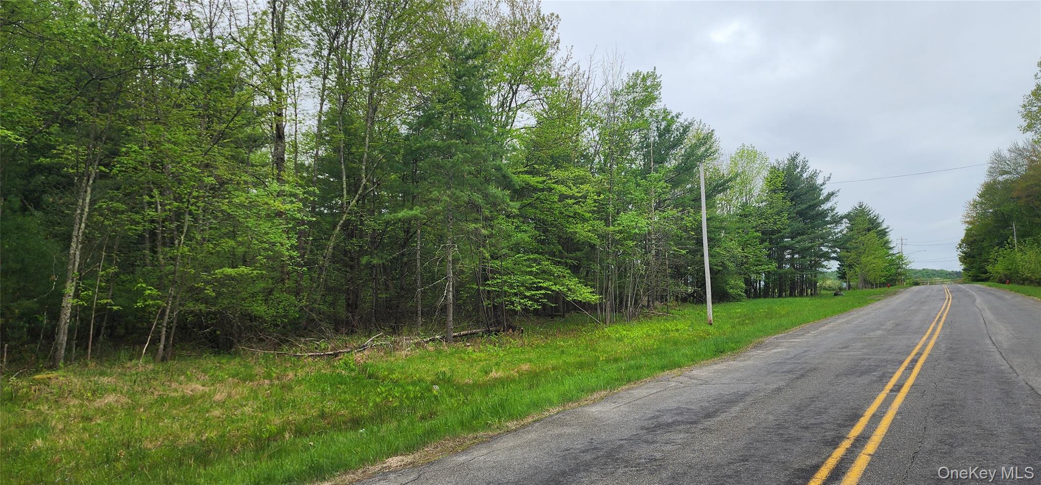 42 Concord Road, Kiamesha Lake, NY 12751