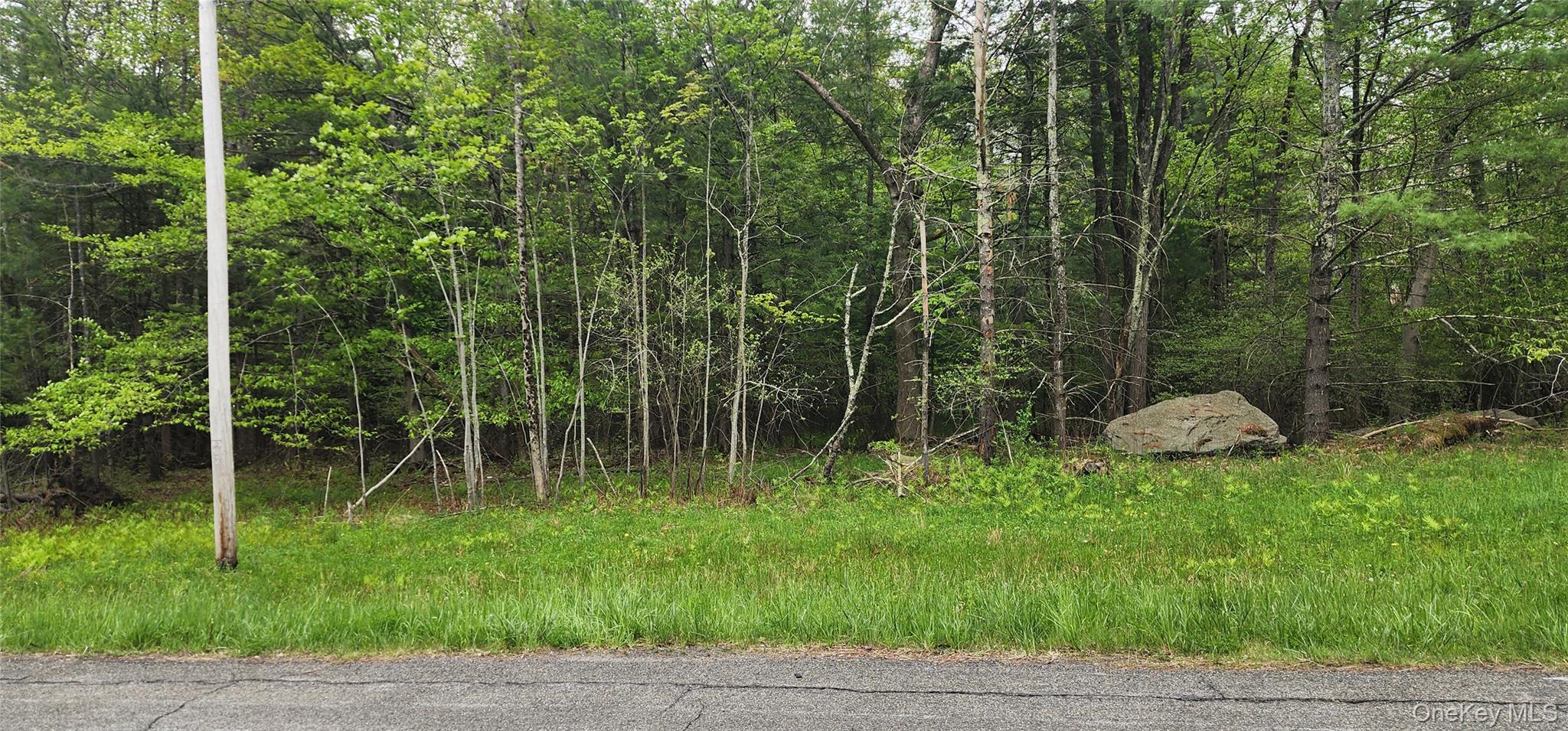 42 Concord Road, Kiamesha Lake, NY 12751
