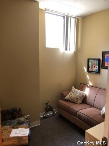 144 Woodbury Road # LOWER, Woodbury, NY 11797