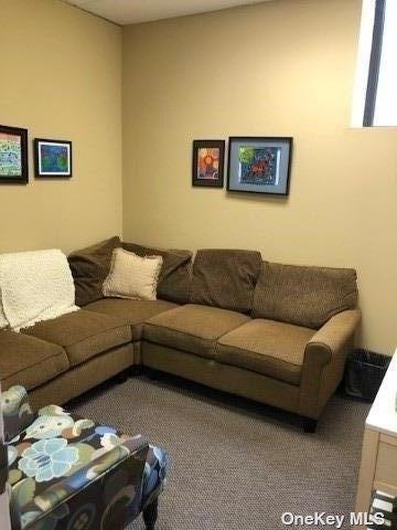 144 Woodbury Road # LOWER, Woodbury, NY 11797