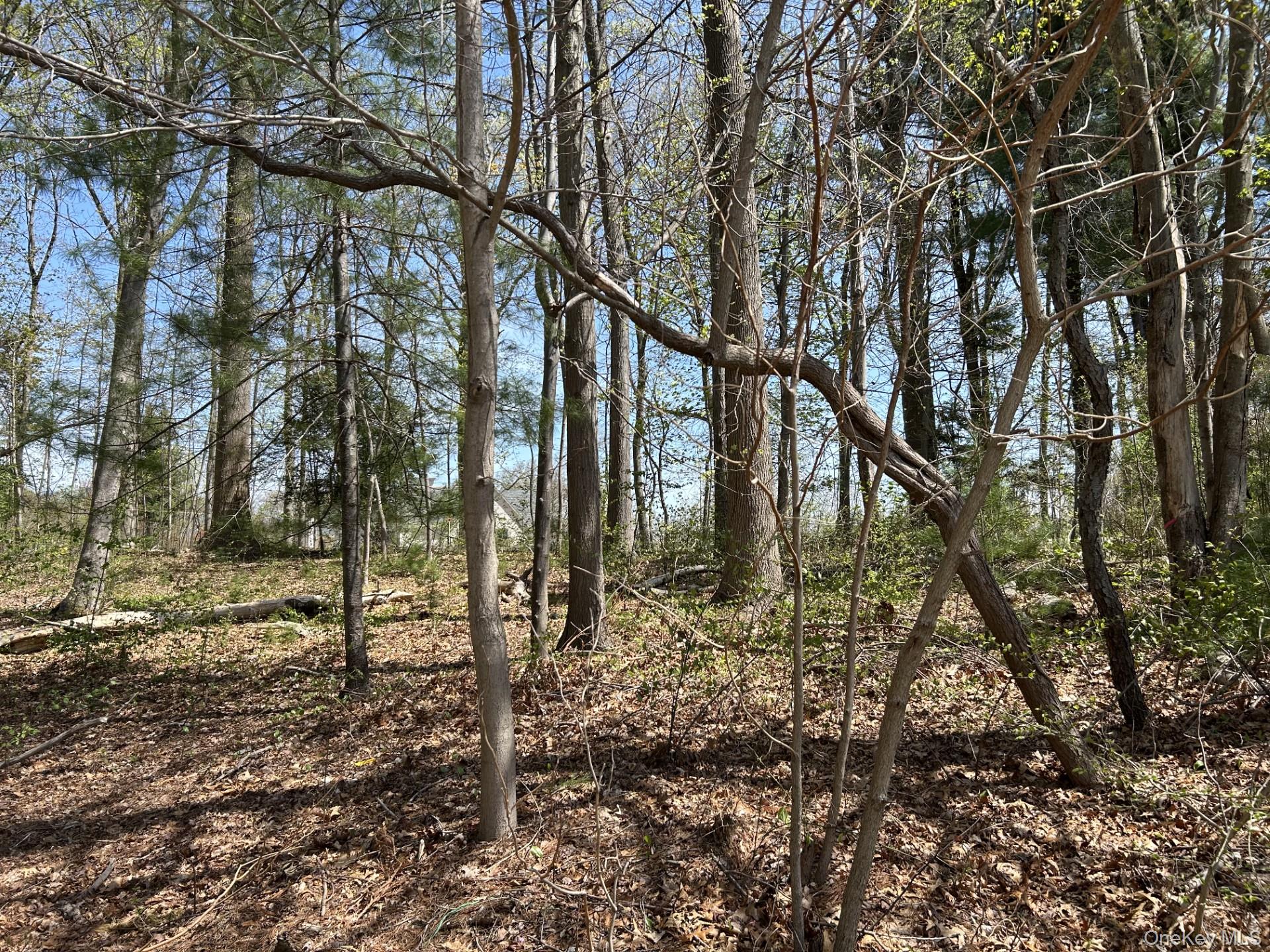 10 Bromley Court, Muttontown, NY 11791