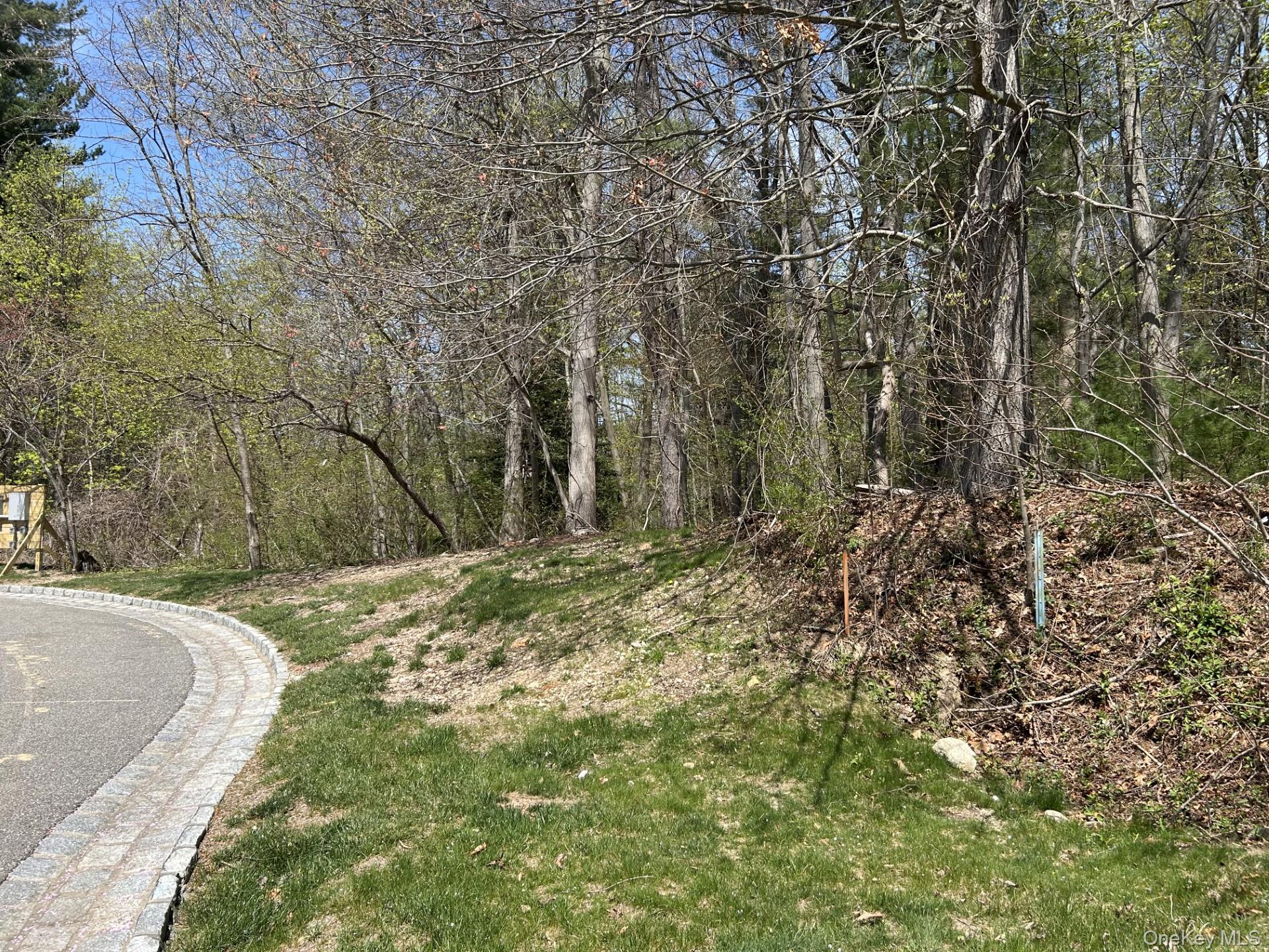 10 Bromley Court, Muttontown, NY 11791