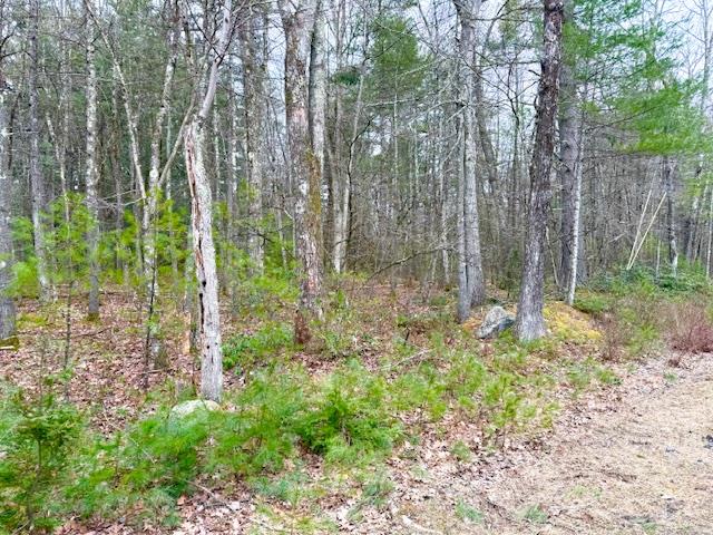 LOT 34 Pine Kill Road Pine Kill Road, Wurtsboro, NY 12790