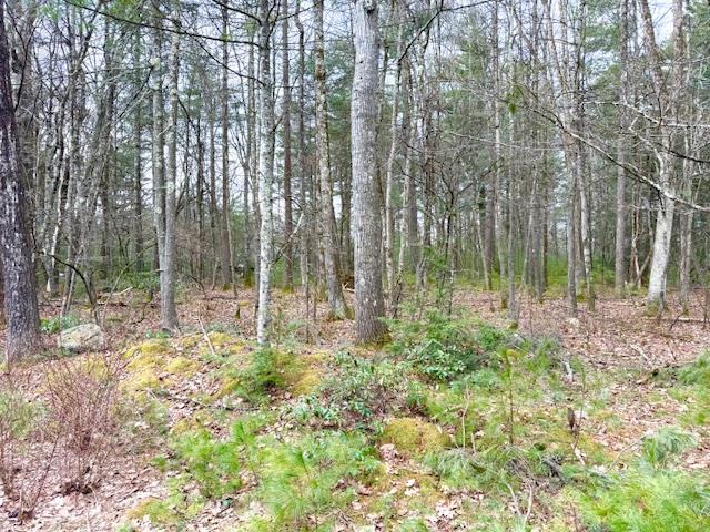 LOT 34 Pine Kill Road Pine Kill Road, Wurtsboro, NY 12790