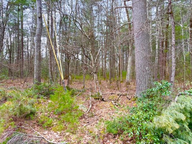 LOT 34 Pine Kill Road Pine Kill Road, Wurtsboro, NY 12790