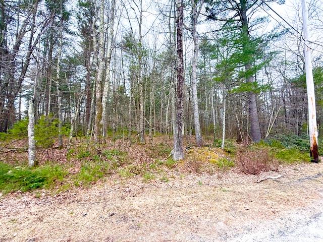 LOT 34 Pine Kill Road Pine Kill Road, Wurtsboro, NY 12790