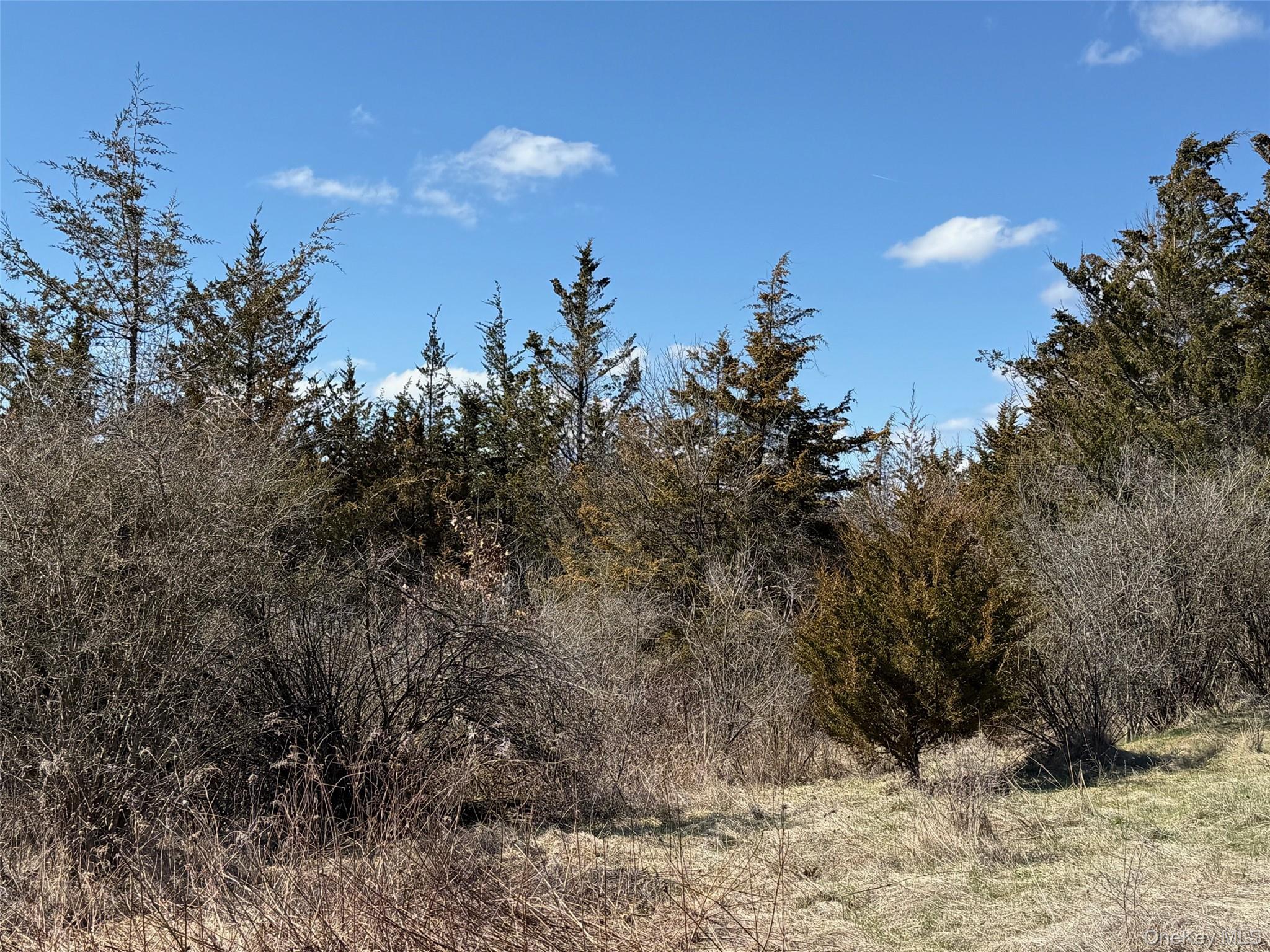 #2 Lot #2 Westerly Ridge Drive, Amenia, NY 12501