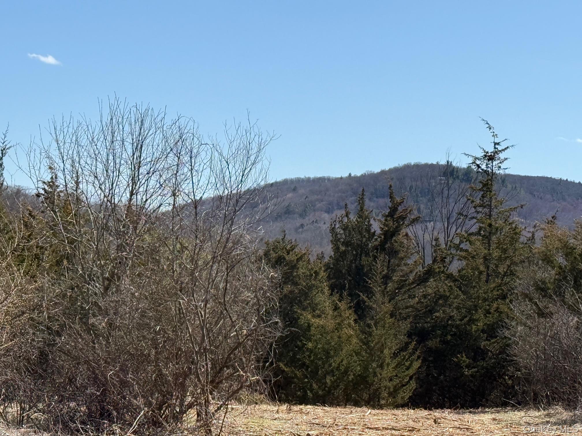 #2 Lot #2 Westerly Ridge Drive, Amenia, NY 12501