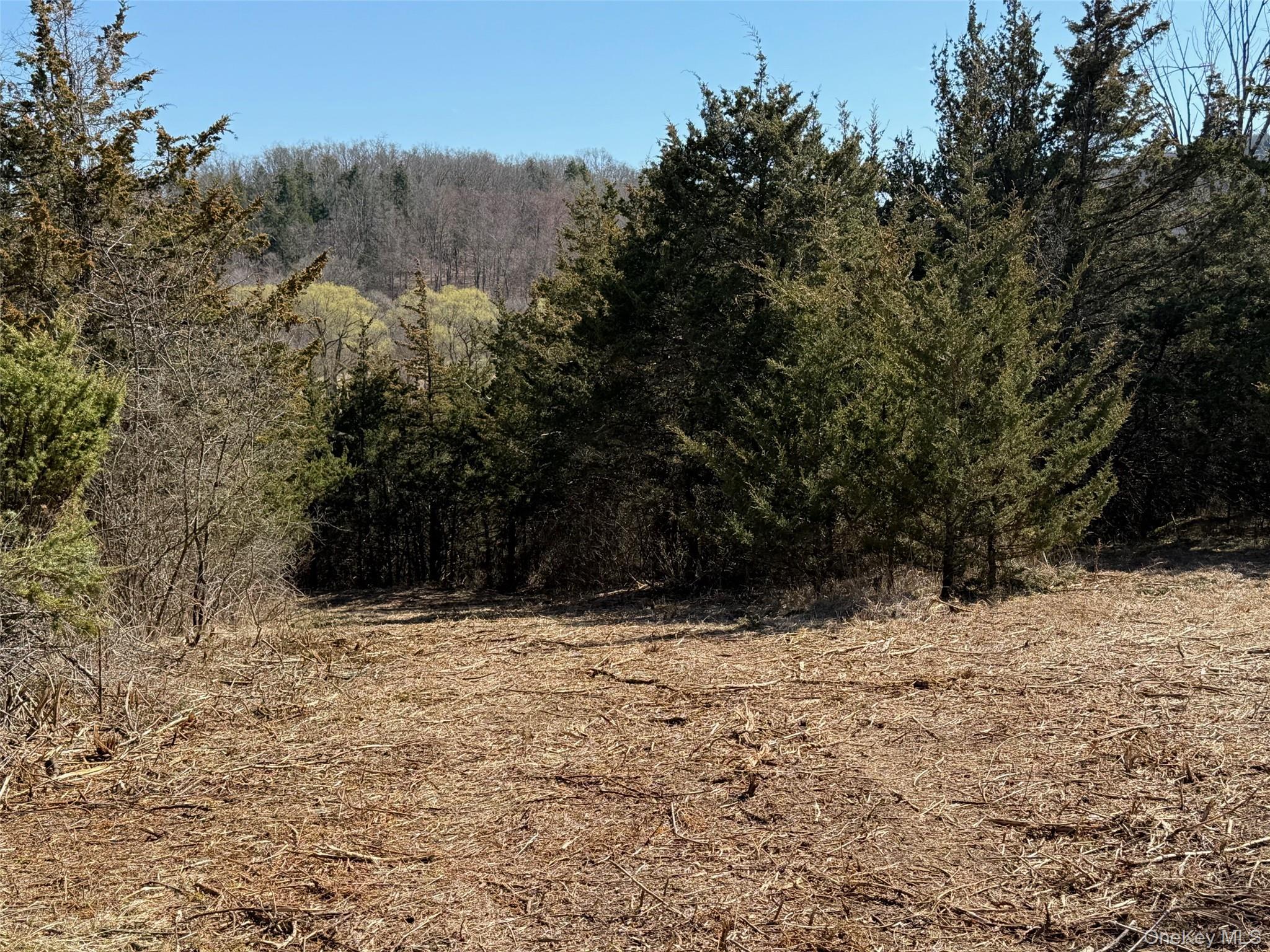 #2 Lot #2 Westerly Ridge Drive, Amenia, NY 12501