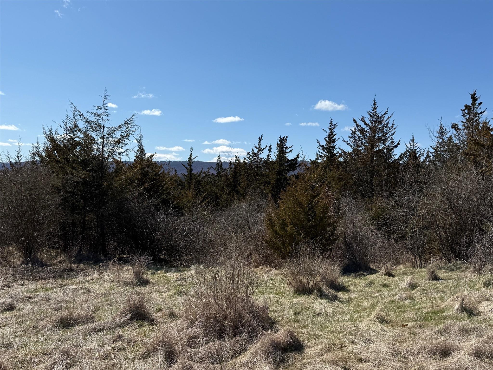 #2 Lot #2 Westerly Ridge Drive, Amenia, NY 12501