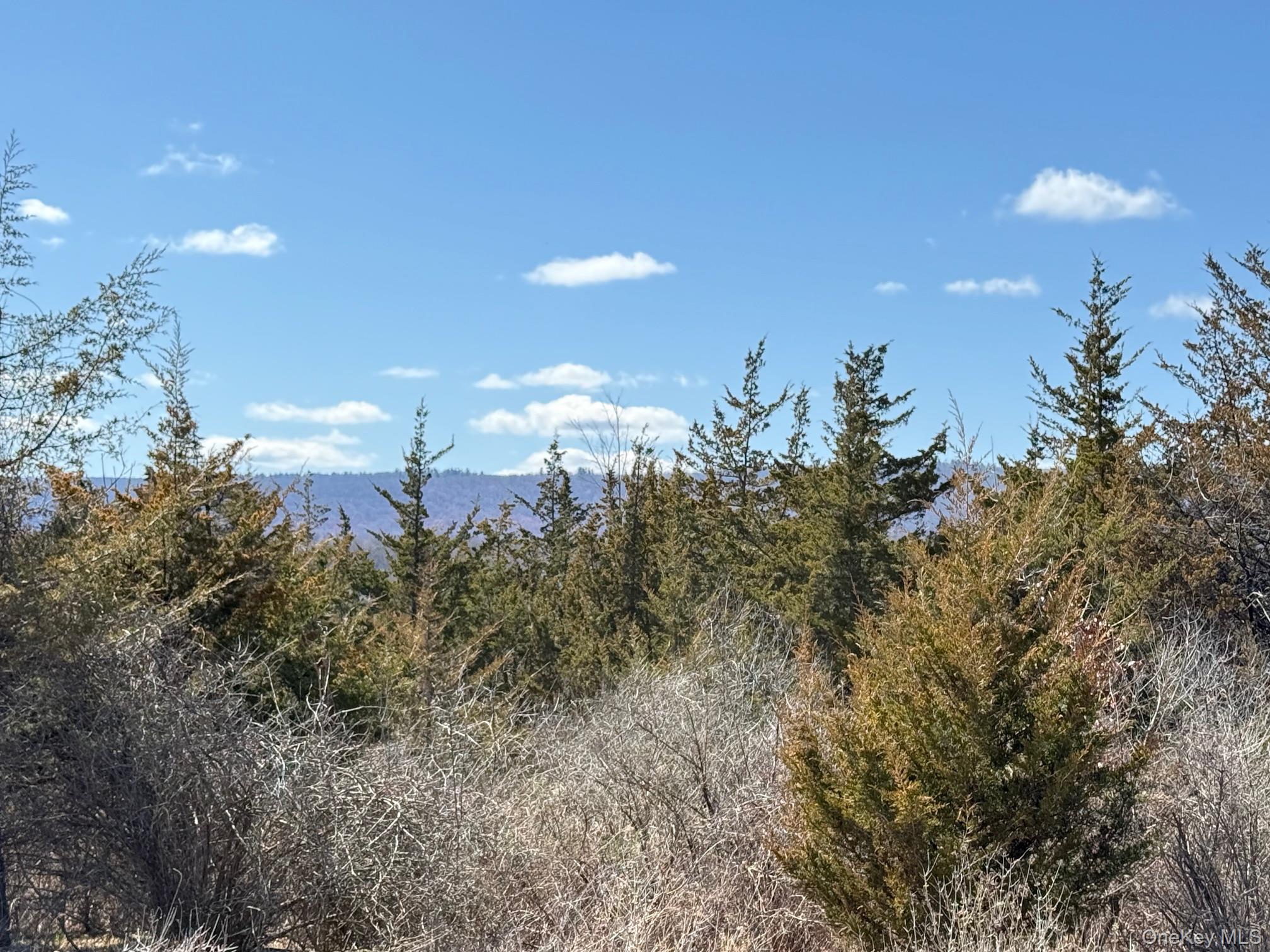 #2 Lot #2 Westerly Ridge Drive, Amenia, NY 12501